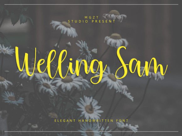 Welling Sam: A Modern Script Typeface for Web Design