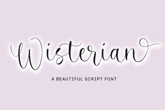Wisterian Font Review: Elegant Script for Brand Identity